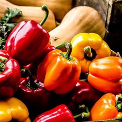 Sweetman's Farm - Organic Vegetables from the farm