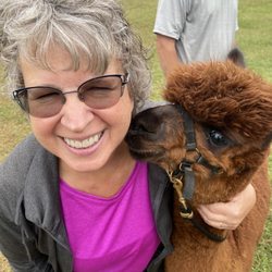 Meadowgate Alpacas