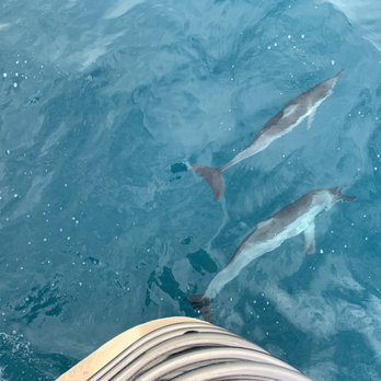 Blue Dolphin Charters - Boating Near Me - Eleele, Hawaii