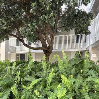 Coronado Island Marriott Resort & Spa - Hotels Near Me - Coronado, California Coronado Island Marriott Resort & Spa - Hotels Near Me - Coronado, California