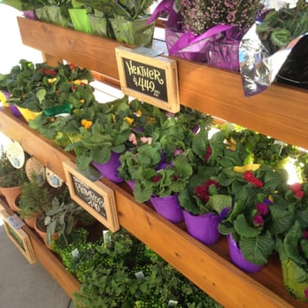 Trader Joe's - Always great flowers - Grocery Near Me - San Clemente, California