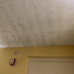Discoloration on ceiling that stretches about 10 ft