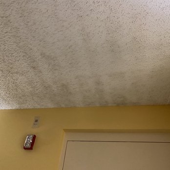 Best Western Milton Inn - Discoloration on ceiling that stretches about 10 ft - Hotels Near Me - Milton, Florida