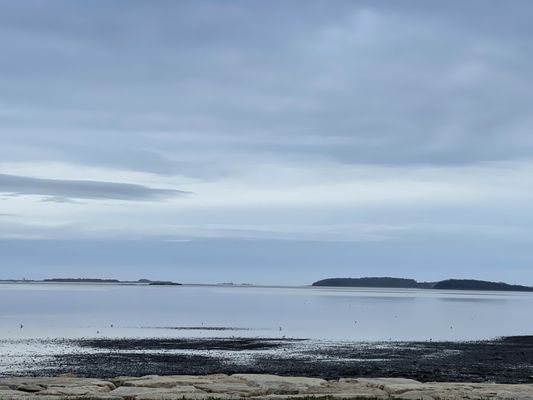 Wollaston Beach by null