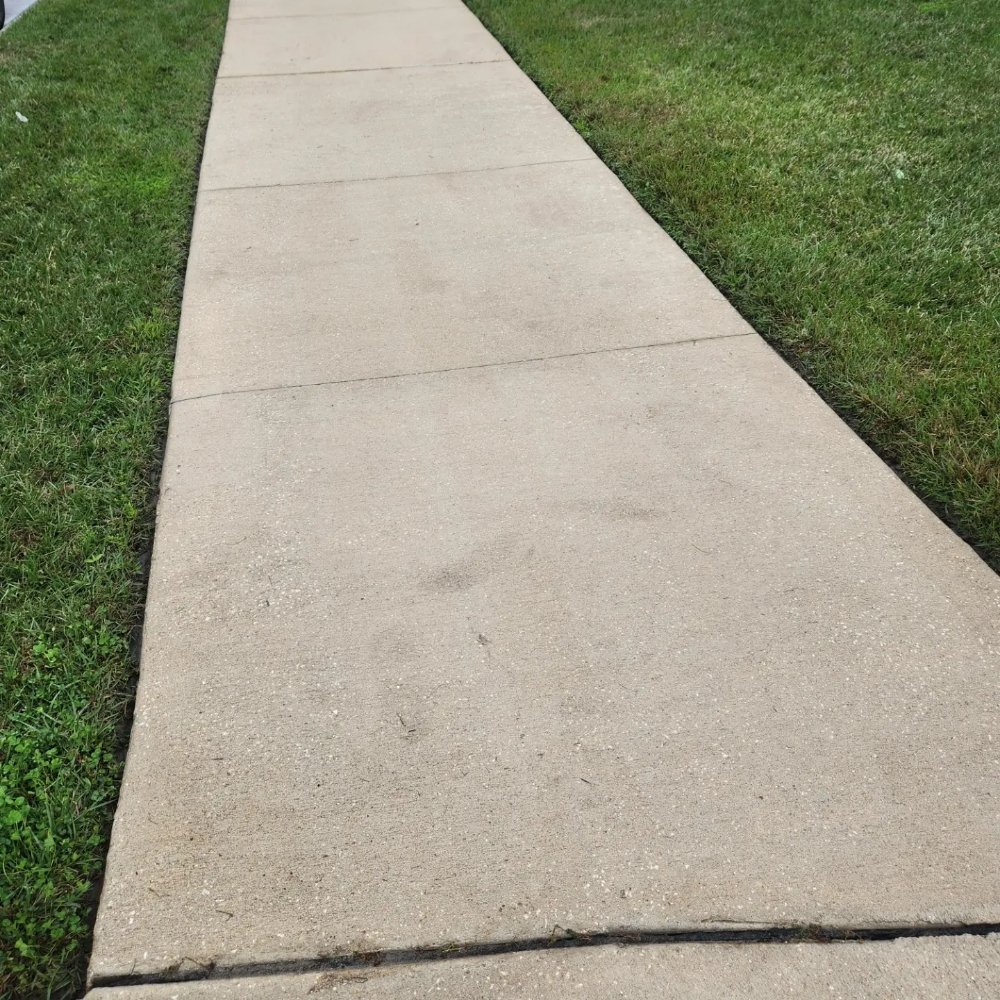 BIG DOG MOBILE DETAIL &PRESSURE WASHING Updated May 2024 Request a