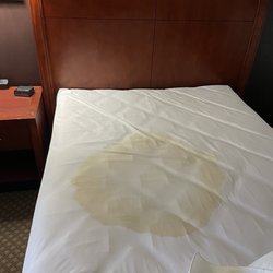 The Parkwood Inn & Suites - Old stain