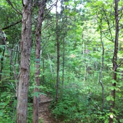 Edge of Appalachia Preserve
