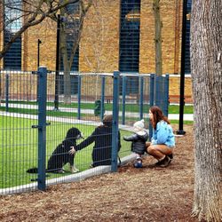 St. Andrew's Playground Dog Park - A tender moment