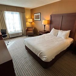Comfort Inn At The Park - Accessible Double Bed with Roll-In-Shower