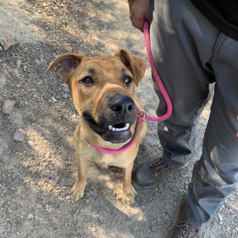 JC Pet Care - Dog Parks Near Me - Winchester, California