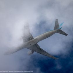 Korean Air