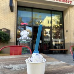 Mission Hill Creamery - Blueberry Goat Cheese Ice Cream
