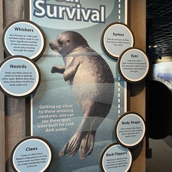 Alaska Sealife Center - Tours Near Me - Seward, Alaska