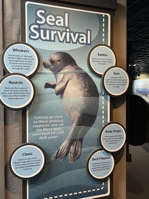 Alaska SeaLife Center by null