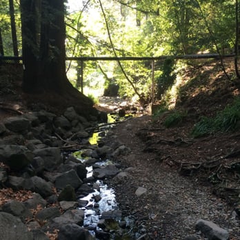 Old Mill Park - Parks Near Me - Mill Valley, California