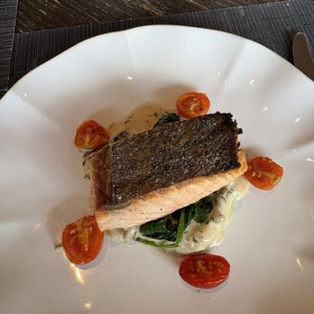 Navy Blue - Salmon - Seafood Near Me - Houston, Texas Navy Blue - Salmon - Seafood Near Me - Houston, Texas