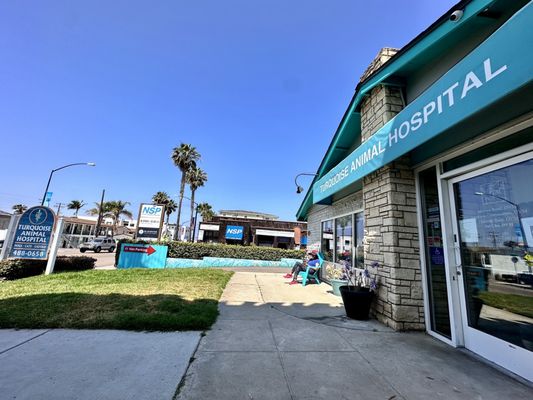 Ambrogio15 Pacific Beach by null