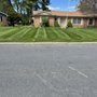 Photo of Kleen Greens
