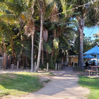 Padaro Beach Grill - Tropical grounds. - American Near Me - Carpinteria, California Padaro Beach Grill - Tropical grounds. - American Near Me - Carpinteria, California