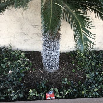 CVS Pharmacy - Find the hidden Doritos. - Drugstores Near Me - Upland, California CVS Pharmacy - Find the hidden Doritos. - Drugstores Near Me - Upland, California