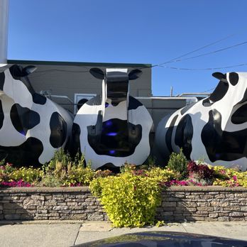 Ashe County Cheese - Moo cows - Cheese Shops Near Me - West Jefferson, North Carolina