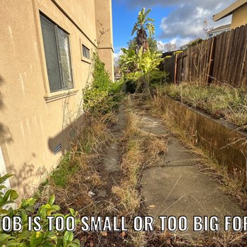 SFC Junk Removal - This side yard walkway received a complete transformation. - Junk Removal & Hauling Near Me SFC Junk Removal - This side yard walkway received a complete transformation. - Junk Removal & Hauling Near Me