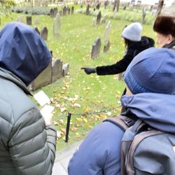 Purefinder New York - Tour group captivated by the story