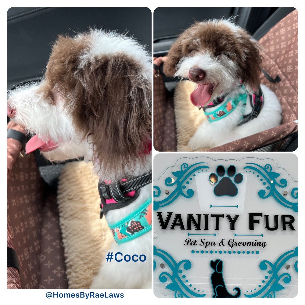 VANITY FUR PET SPA & GROOMING Updated September 2024 35 Photos & 21