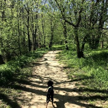 Broad Run Park - Lowland Plain Trail, dog - Parks Near Me - Louisville, Kentucky
