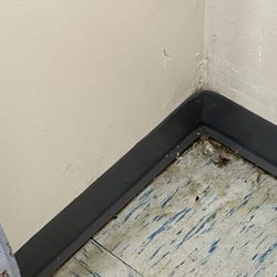 Birchwood Park Rehab - Room conditions.