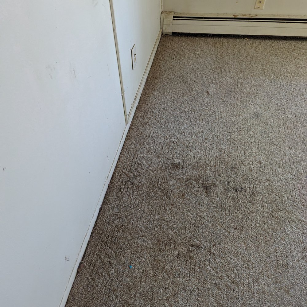 Modernistic - Carpet Cleaning Near Me - Lansing, Michigan Modernistic - Carpet Cleaning Near Me - Lansing, Michigan