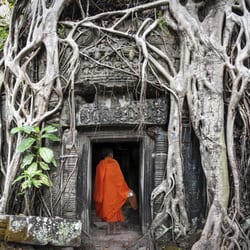Distant Horizons - Ta Phrom, Siem Reap, Cambodia