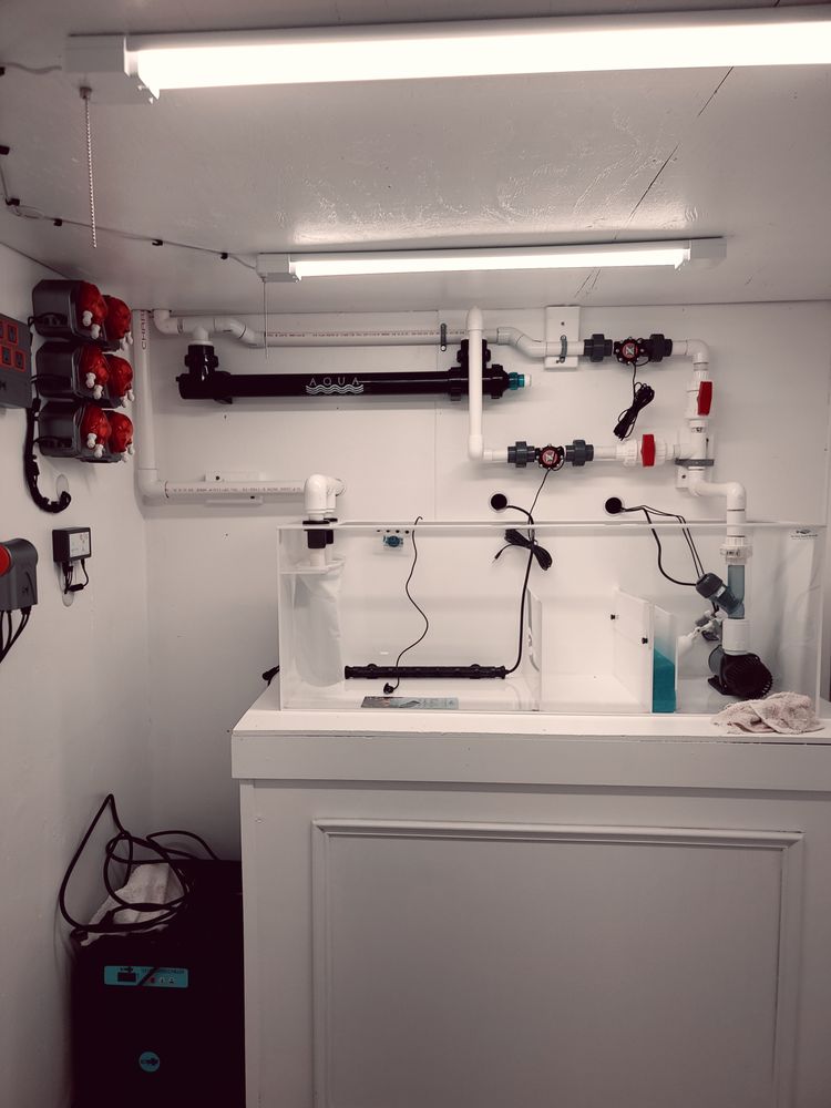 SEA CREATURE AQUARIUM Updated October 2024 17 Photos & 10 Reviews