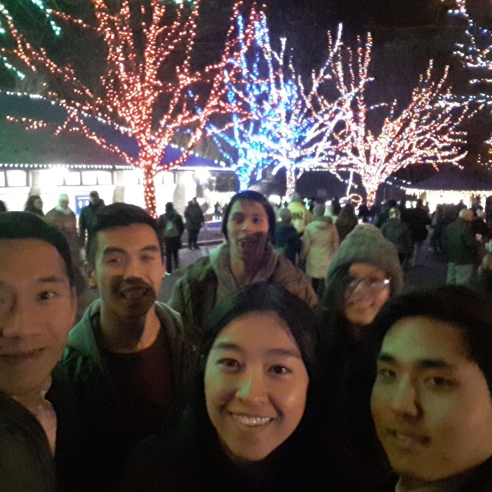 ZooLights - Zoos Near Me - Washington, DC, District of Columbia