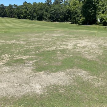 River Plantation Golf Club - Putting surface, and this isn't a "worst case scenario", this is just a random pic... all of the greens are very rough. - Golf Near Me - Conroe, Texas River Plantation Golf Club - Putting surface, and this isn't a "worst case scenario", this is just a random pic... all of the greens are very rough. - Golf Near Me - Conroe, Texas