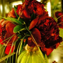Intense peonies