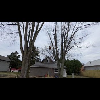 DTR Solutions - Tree Services Near Me - kokomo , Indiana