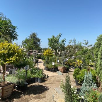 Garden View Nursery - Nurseries & Gardening Near Me - Irwindale, California