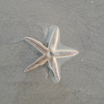 Whitecap Beach - Beaches Near Me - Corpus Christi, Texas Whitecap Beach - Beaches Near Me - Corpus Christi, Texas