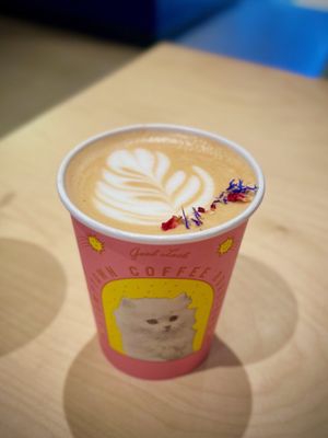 Stumptown Coffee Roasters by null
