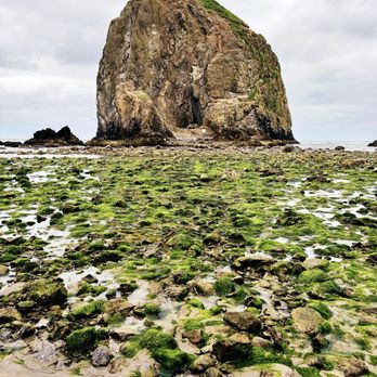 Hallmark Resort & Spa Cannon Beach - Haystack rock - Resorts Near Me - Cannon Beach, Oregon Hallmark Resort & Spa Cannon Beach - Haystack rock - Resorts Near Me - Cannon Beach, Oregon