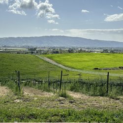 L & M Vineyard - Best view ever