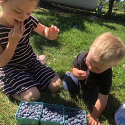 The Wallace Farm - Great outing for the whole family