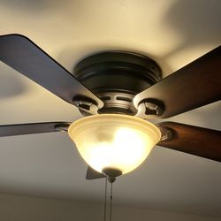 Bolt Electric - Dining room fan