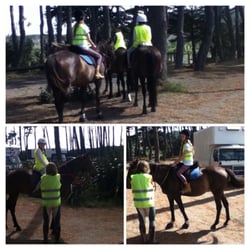 About Riding - Horse Riding at About Riding