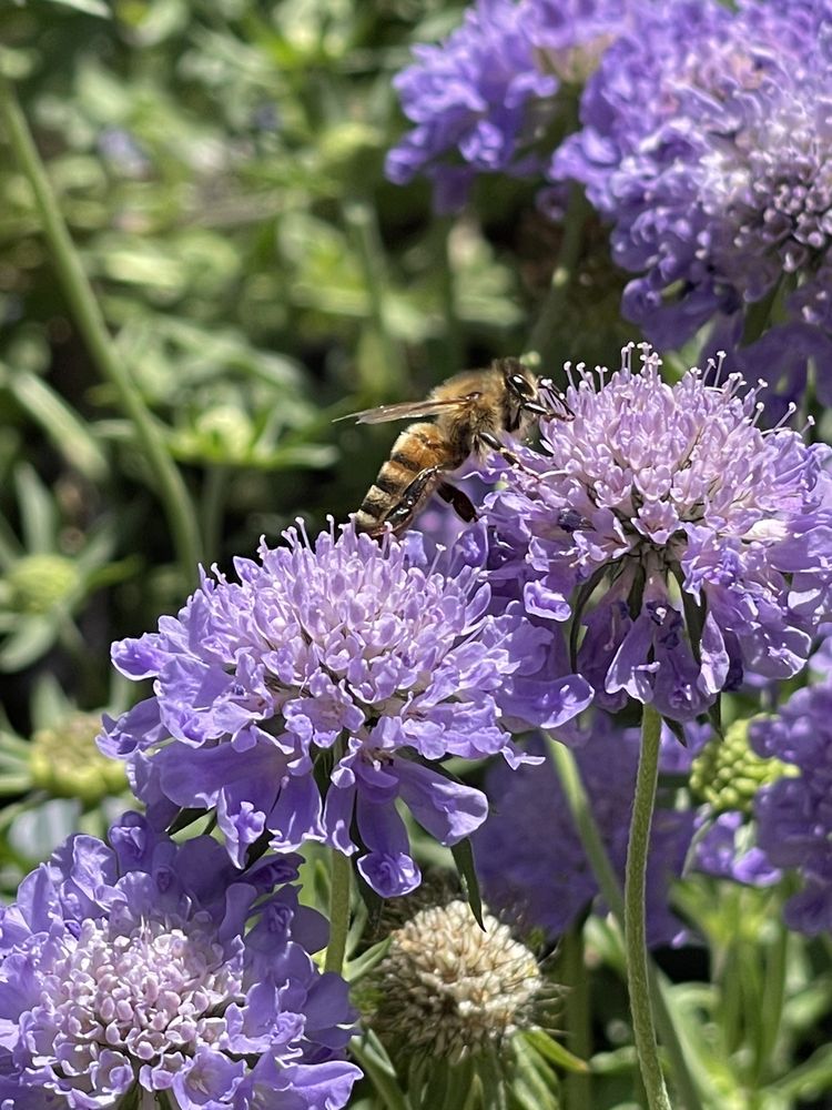 CACTUS & TROPICALS Updated October 2024 147 Photos & 57 Reviews