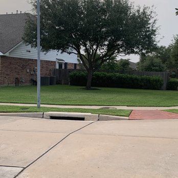 Cypress Tree Company - Tree Services Near Me Cypress Tree Company - Tree Services Near Me