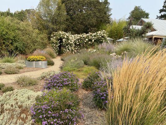 TWOMEY Anderson Valley by null