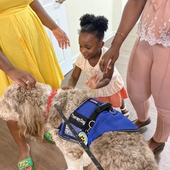 Pawfection Dog Training - Bowden loves meeting children - Pet Training Near Me Pawfection Dog Training - Bowden loves meeting children - Pet Training Near Me