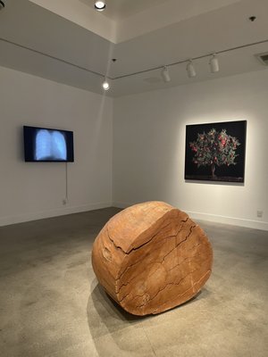 Frederick R. Weisman Museum of Art by null